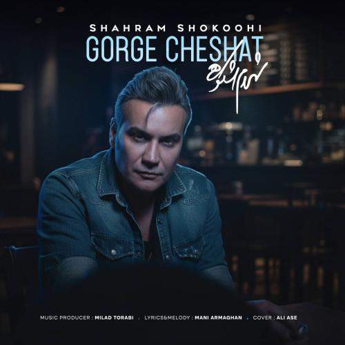 Download Music Shahram Shokoohi - Gorge Cheshat 1 Download New Music By Shahram Shokoohi Called Gorge Cheshat