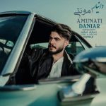 Download Music Danyar – Amunati