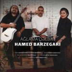 Download Music Hamed Barzegari – Ağlama qəlbim
