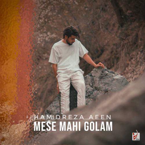 Download New Music By  Hamidreza Aeen Called Mese Mahi Golam