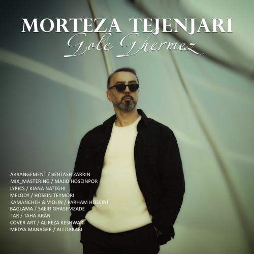Download New Music By  Morteza Tejenjari Called Gole Ghermez