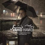 Download Music Vahid Hamidi – Deltangi