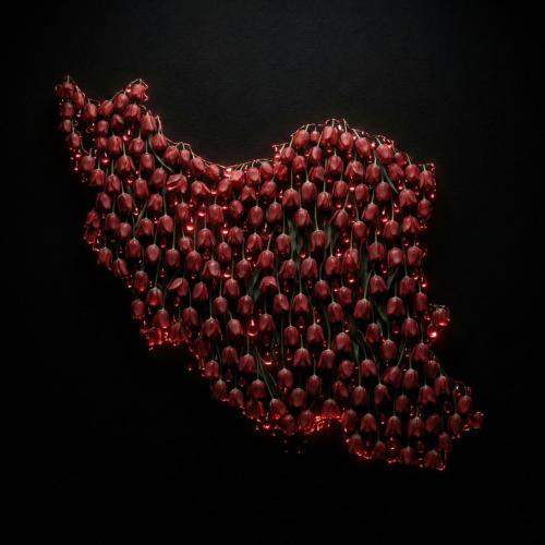 Download New Music By  Shervin Hajipour Called Iranam