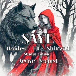 Download Music Haides , Shirzad – Saye
