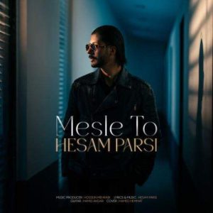 Download Music Hesam Parsi – Mesle To