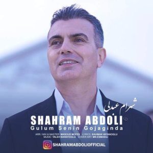 Download Music Shahram Abdoli – Gulum Senin Gojaginda