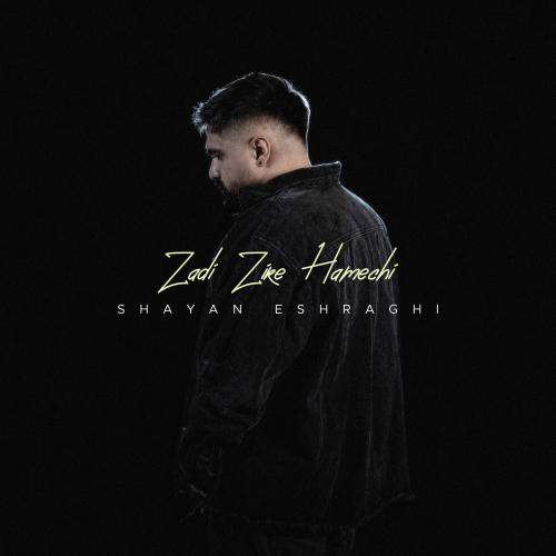 Download New Music By  Shayan Eshraghi Called Zadi Zire Hamechi