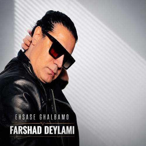 Download Music Farshad Deylami - Ehsase Ghalbamo 11 Download New Music By Farshad Deylami Called Ehsase Ghalbamo