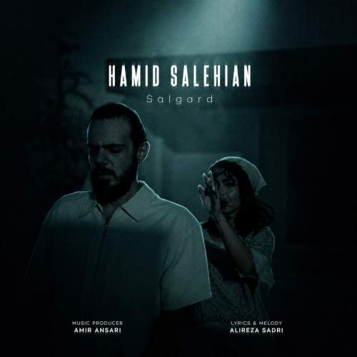 Download New Music By  Hamid Salehian Called Salgard