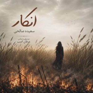 Download Music Saeede Salehi – Enkar