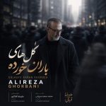 Download Music Alireza Ghorbani - Golhaye Barankhordeh 2 Download Music Alireza Ghorbani – Golhaye Barankhordeh
