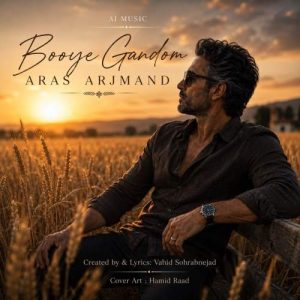 Download Music Aras Arjmand – Booye Gandoom