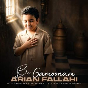 Download Music Arian Fallahi – Be Gamoonam