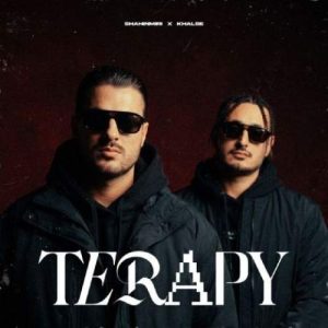 Download Music Shahin Miri , Sepehr Khalse – Terapy