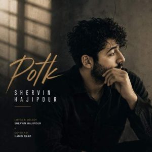 Download Music Shervin Hajipour – Potk