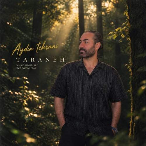 Download New Music By  Aydin Tehrani Called Taraneh