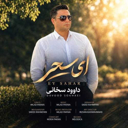 Download New Music By  Davood Sokhaei Called Ey Sahar