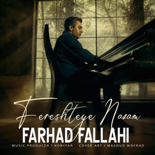 Download New Music By  Farhad Fallahi Called Setareh Nazam
