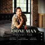 Download Music Keyvan Kia – Joone Man