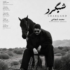 Download Music Mohammad Shojaei – Shabgard