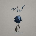 Download Music Payor , Espada - Gole Pazhmordeh 2 Download Music Payor , Espada – Gole Pazhmordeh