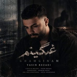 Download Music Yasin Rezaei – Ghamginam
